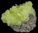 Sulfur Crystals on Matrix - Bolivia #51570-2